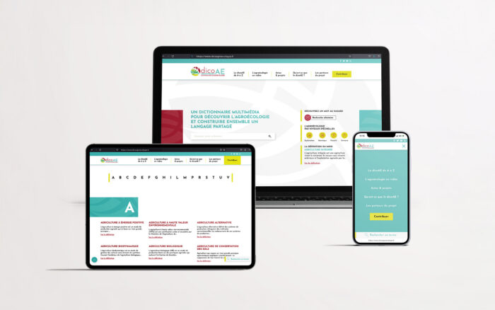 Stratégie de communication et refonte de site web pour le projet DicoAE d'INRAE